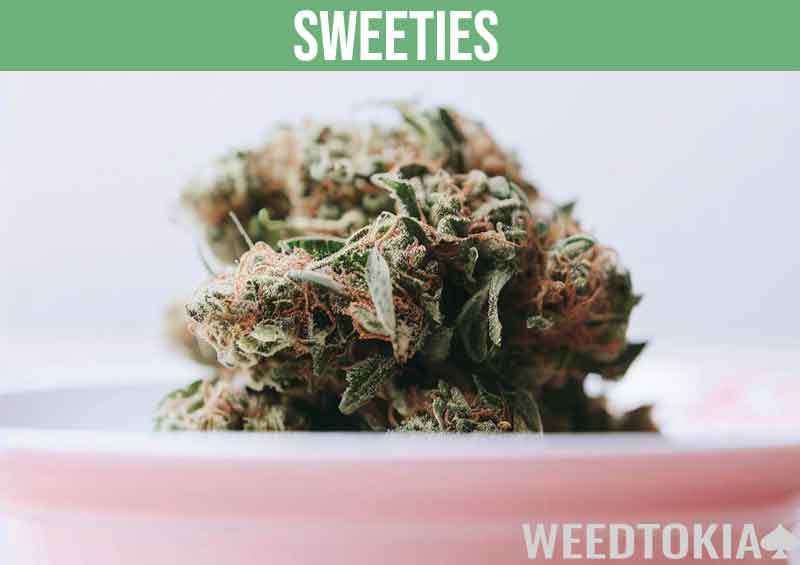 Sweeties strain on pink plate