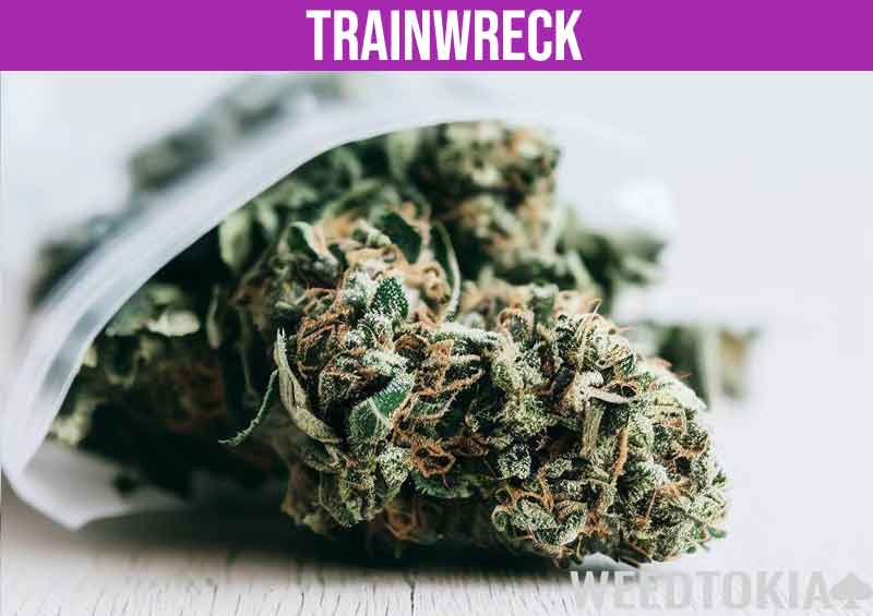 Trainwreck Strain in baggie