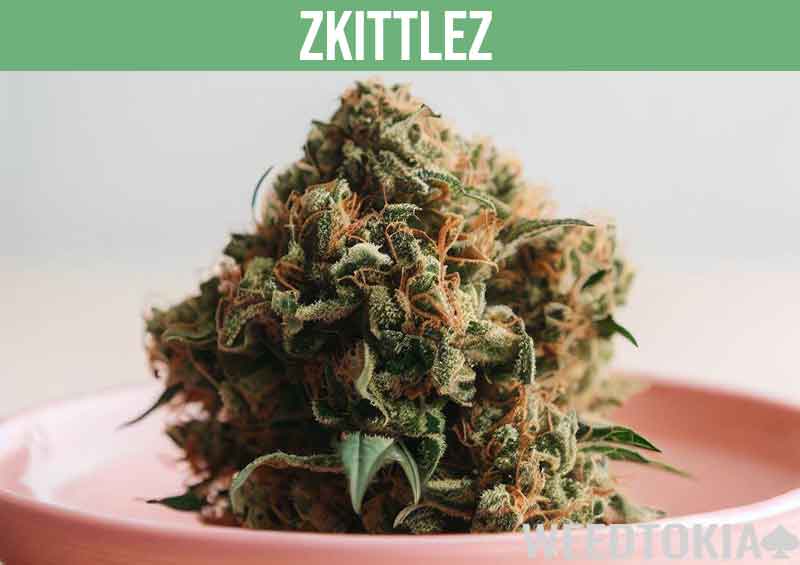 Zkittlez marijuana strain