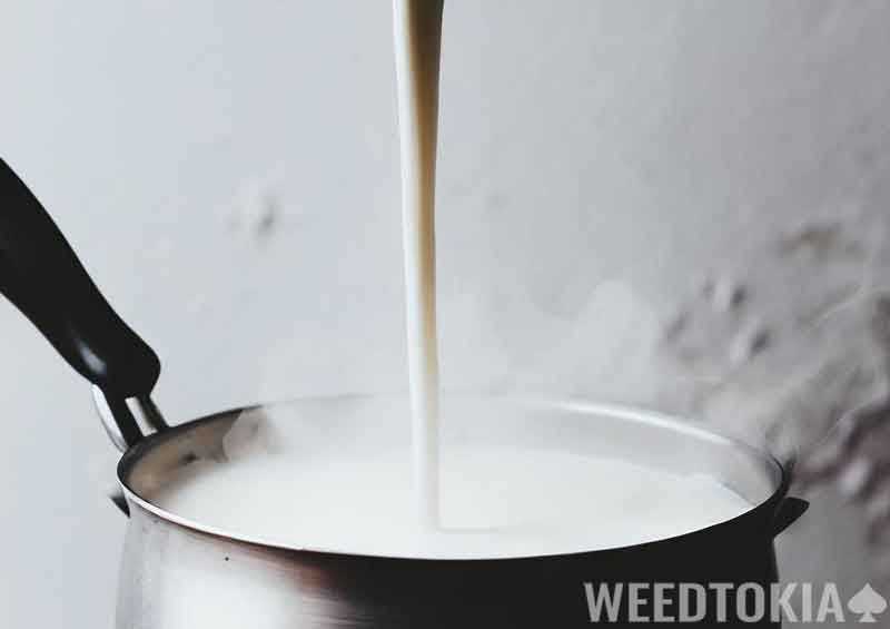 Pouring milk into saucepan