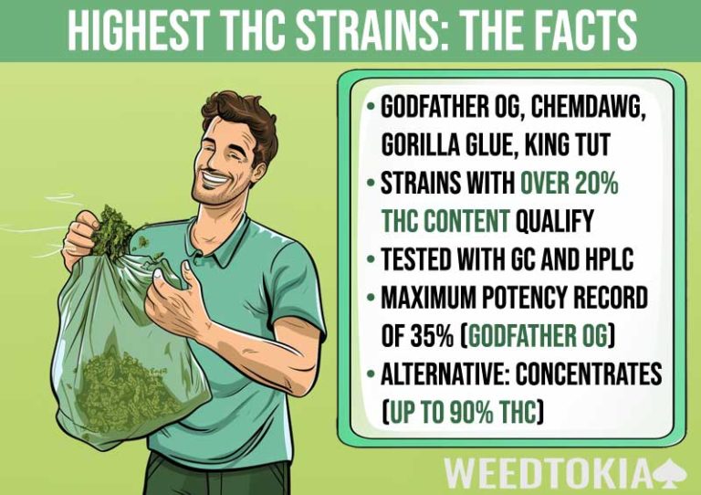 20 Highest THC Strains of Weed (Over 30)